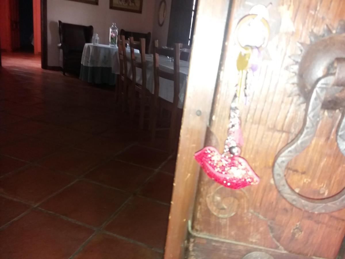 Casa Rural La Noria Los Palacios y Villafranca Kültér fotó